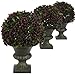 Pepper Berry Ball Topiary - (Set of 3)