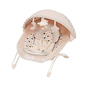 Graco Soothe & Swaddle Baby Bouncer - Deco