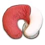 Boppy Signature Slipcover - Urban Vintage Coral