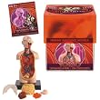 Bio Signs Human Anatomy - Torso