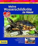 Wasserschildkröte, zu Hause