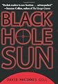 Black Hole Sun