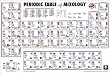 Periodic Table of Mixology (Reference Guide) Art Poster Print - 24x36