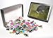 Photo Jigsaw Puzzle of The cuckold from Mary Evans