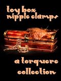 Toy Box: Nipple Clamps