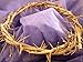 Holy Land Imports Passion of Christ Crown of Thorns/Authentic Crown of Thorns Comes in Gift Box with Description