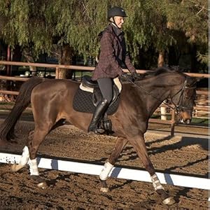 Kerrits Sit Tight N Warm Windpro Tight S Espresso