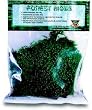 TREX FROG MOSS
