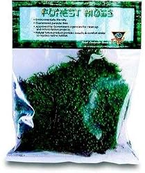 TREX FROG MOSS