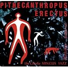 Pithecanthropus Erectus