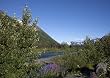 Scenic view from the Seward Highway in the Chugach National Forest - 16"x20" - Fine-Art Gicl??e Photographic Print by Carol M. Highsmith