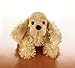 Webkinz Plush Stuffed Animal American Cocker Spaniel