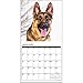German Shepherds 2017 Wall Calendar