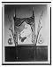 Historic Print (L): [Display with portrait of a man, possibly Chulalongkorn, King of Siam, in Siam (Thailand