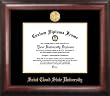 Saint Cloud University Gold Embossed Medallion 18x14 Diploma Frame