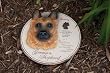 German Shepherd garden stone/wall decor