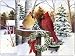 Pimpernel Christmas Cardinals Placemats - Set of 4 (Large)