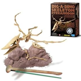 Dam SPRL - Jeu �ducatif - Deterre ton Dinosaure