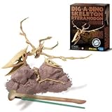 Dam SPRL - Jeu �ducatif - Deterre ton Dinosaure