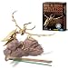 Dam SPRL - Jeu �ducatif - Deterre ton Dinosaure