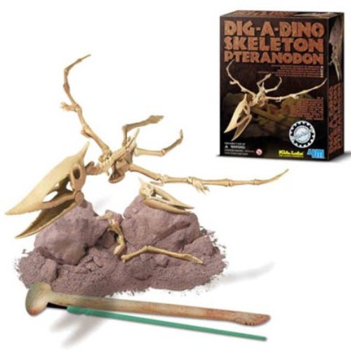 Dam SPRL - Jeu �ducatif - Deterre ton Dinosaure