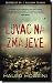 Lovac na zmajeve