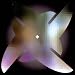 Image of For