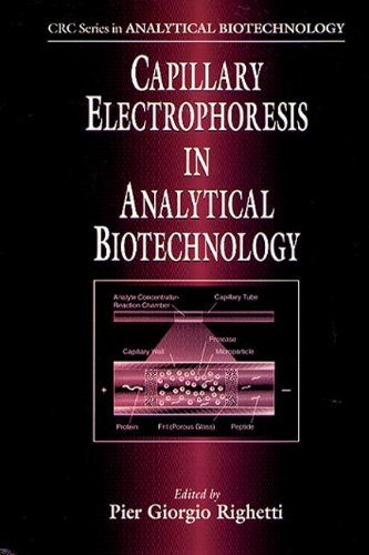 Capillary Electrophoresis in Analytical Biotechnology: A Balance of Theory and Practice (Advances in Analytical Biotechnology)