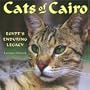 Cats of Cairo: Egypt's Enduring Legacy