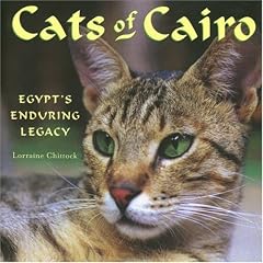 Cats of Cairo: Egypt's Enduring Legacy