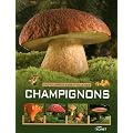 Encyclop�die essentielles des champignons
