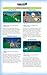 Mario & Luigi: Dream Team: Prima Official Game Guide