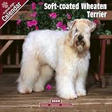 Eigenschaften Avonside Publishing Ltd.  / Kalender 2009 Soft coated Wheaten Terrier - Irish Soft Coated Wheaten Terri...
