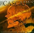 Corrosive Mindcage