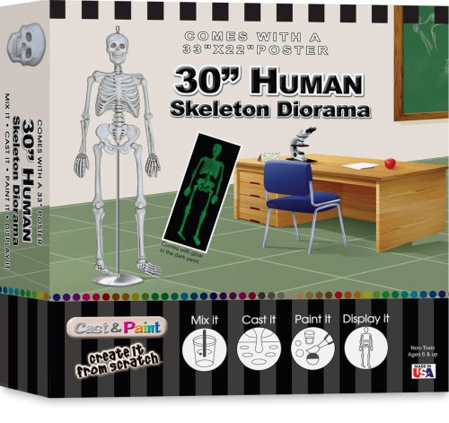 Skullduggery Cast and Paint Human Skeleton Diorama Kit