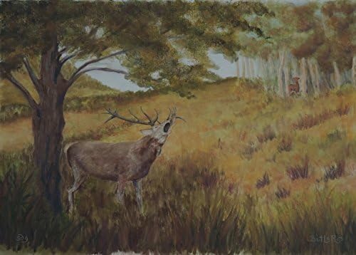 Admired from Afar (original wildlife painting)