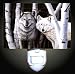 White Wolves Decorative Night Light
