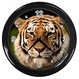 Black Wall Clock of Bengal Tiger Cat Animal Wild Africa