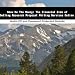Book Show Me The Money: The Financial Side of Selling Research Proposal Writing Services Online