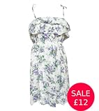 Frill Hem Roses Print Dress