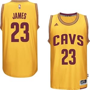 LeBron James Cleveland Cavaliers adidas Youth 2014-15 New Swingman Alternate Jersey - Gold
