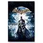 Batman - Arkham Asylum 22"x34" Art Print Poster by Trends International