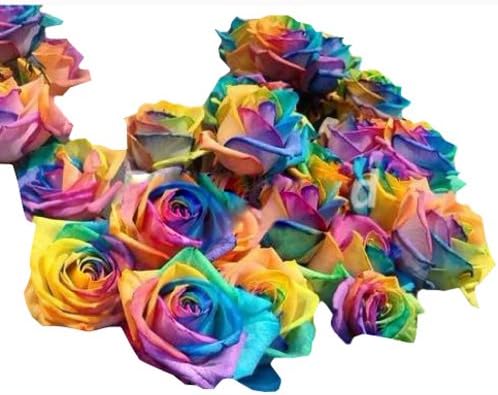 100pcs Rainbow Rose Seeds Rare,Valentine Lover Flower
