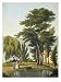 Clifton, from 'The Naturama, Or, Nature's Endless Transposition of Views on the Thames', c.1825 Art Giclee Poster Print by Robert The Younger Havell, 18x24