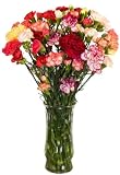 California Mini-Carnations Flower Bouquet - Free Fast Shipping