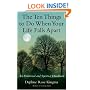 The Ten Things to Do When Your Life Falls Apart: An Emotional and Spiritual Handbook