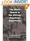 The Black Church in the African American Experience