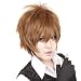 FENGSHANG Lolita and Beauty Hitman Reborn Sawada Tunayoshi Short Cosplay Wigs 14 Inches Brown