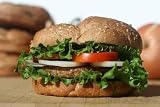 51Sm9YSGLHL. SL160  Vegetarian Soy Burger   24W x 16H   Peel and Stick Wall Decal by Wallmonkeys Reviews