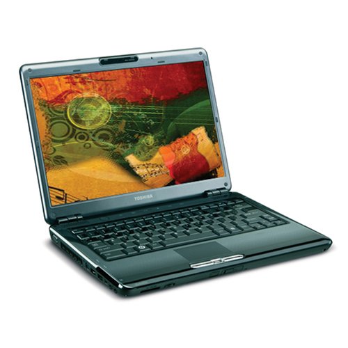 Toshiba Satellite U405D-S2848 13.3-inch Laptop (2.0 GHz AMD Turion X2 Dual Core RM-70 Processor, 3 GB RAM, 250 GB Hard Drive, DVD Drive, Vista Premium) Fusion image